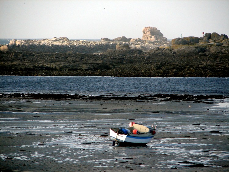 &copy; Penhorsweb